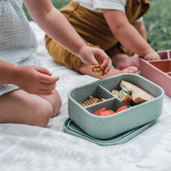 Top Eco-Friendly Lunch Boxes