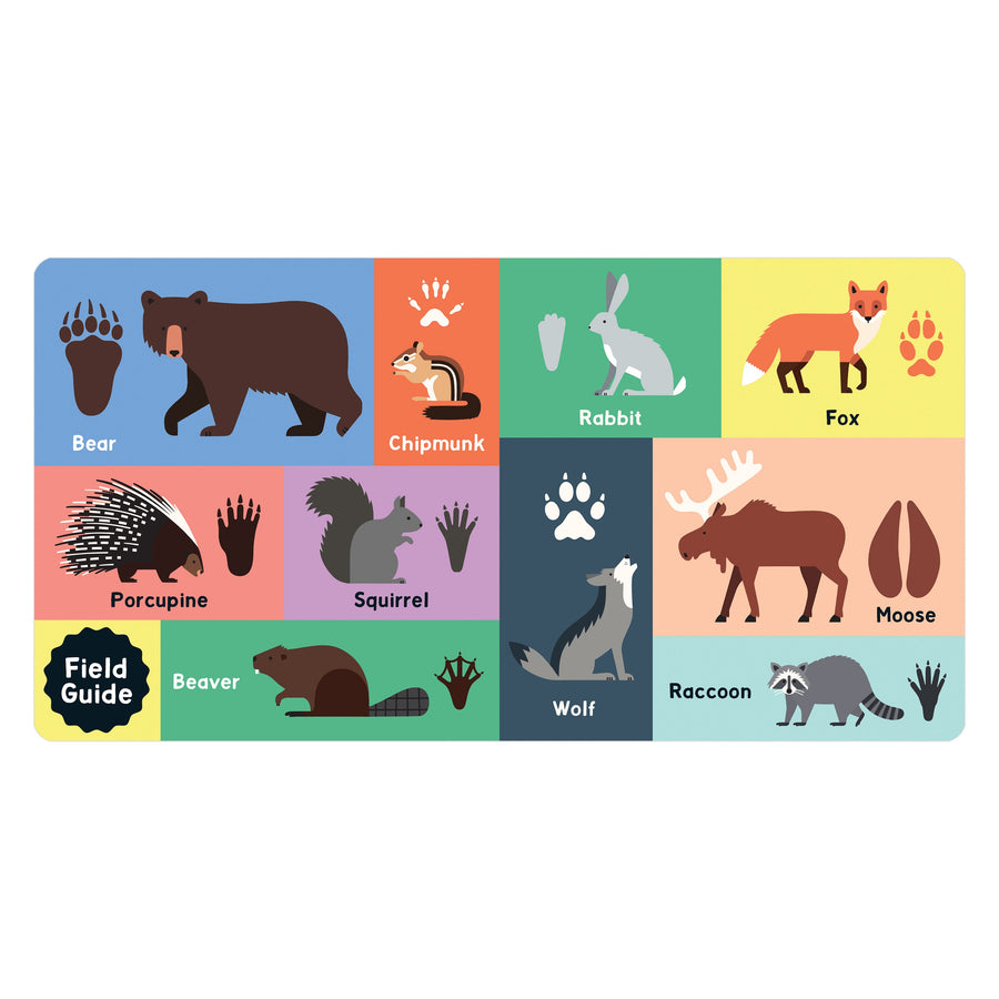 Forest Tracks: What Animal Am I? Lift-The-Flap Board Book