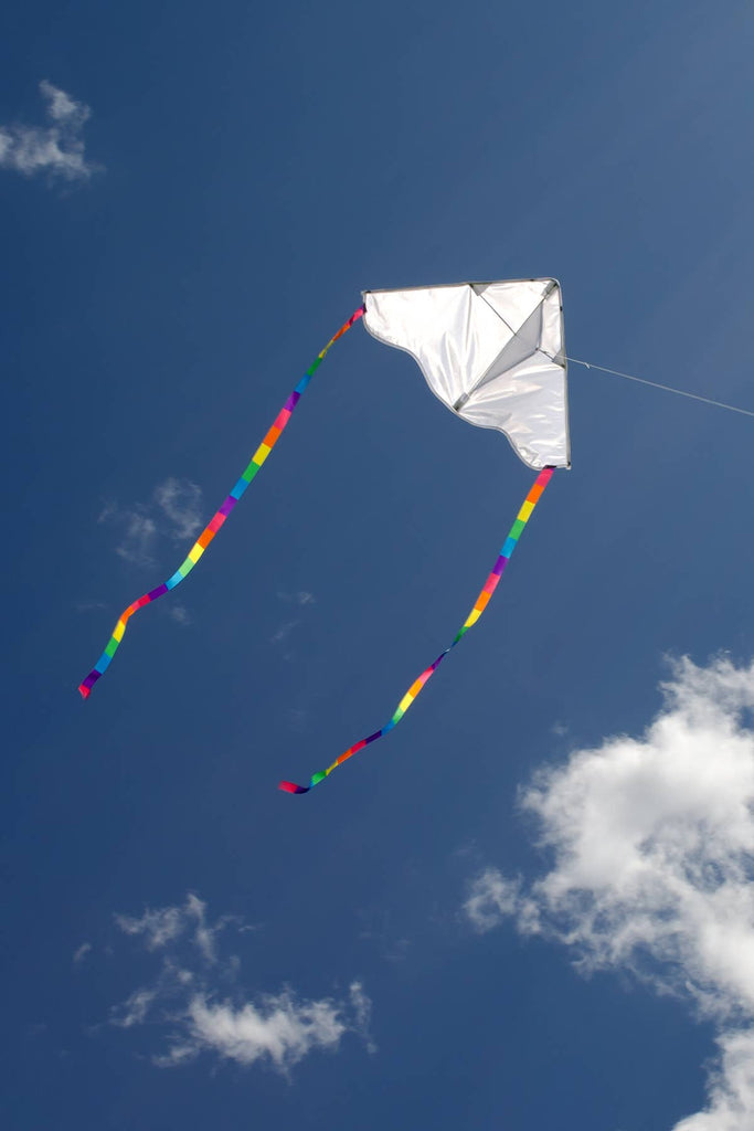 In the Breeze - Delta Coloring Kite