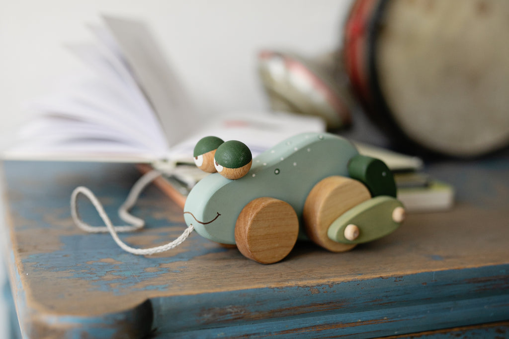 Handcrafted Wooden Pull Toy - Frog