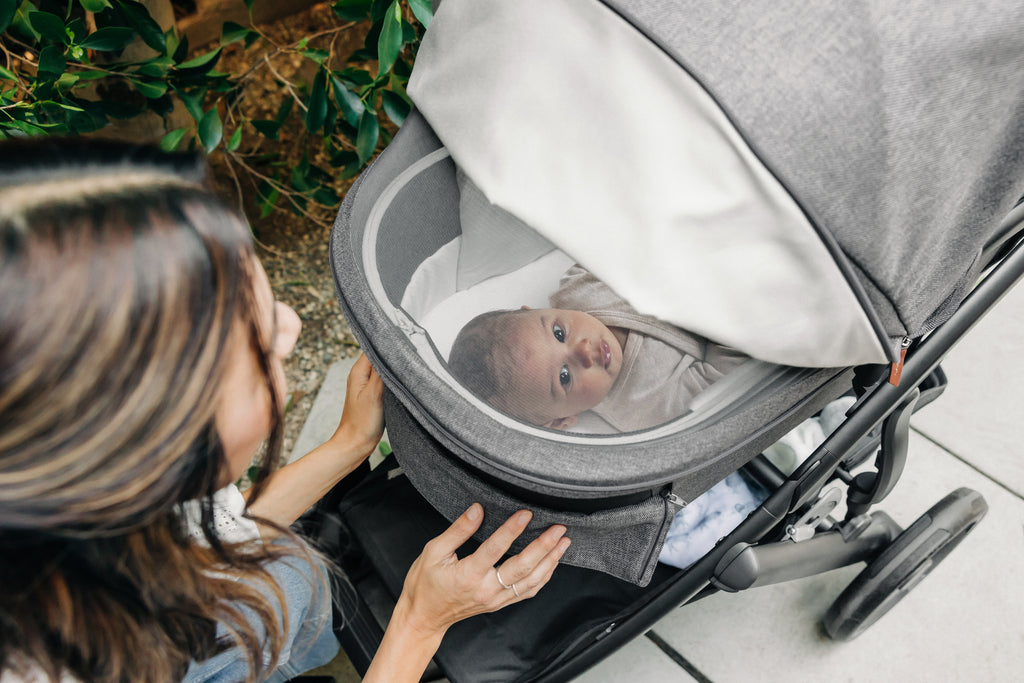 UPPAbaby Vista V3 Stroller