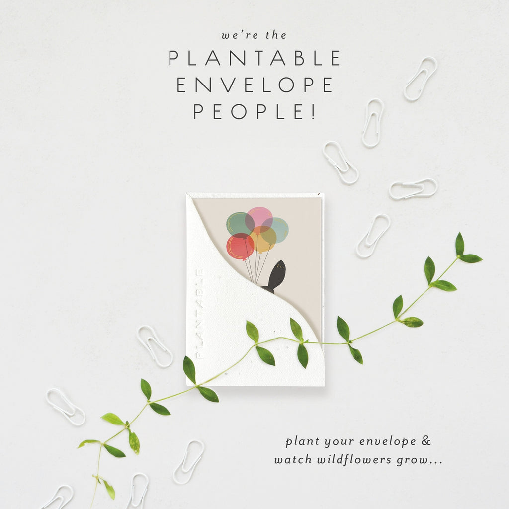 Birthday Kitty Sprout - B'day Mini Greeting Card