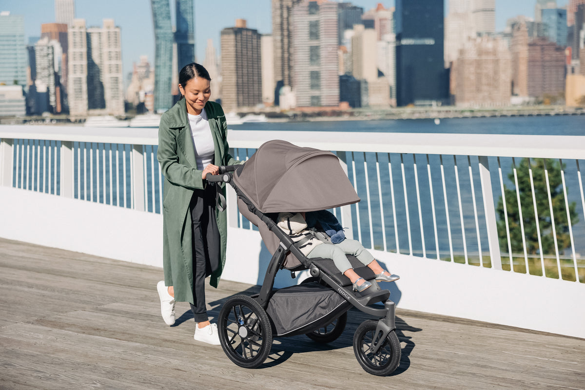 uppababy stroller ridge UPPAbaby Ridge Jogging Stroller, Theo