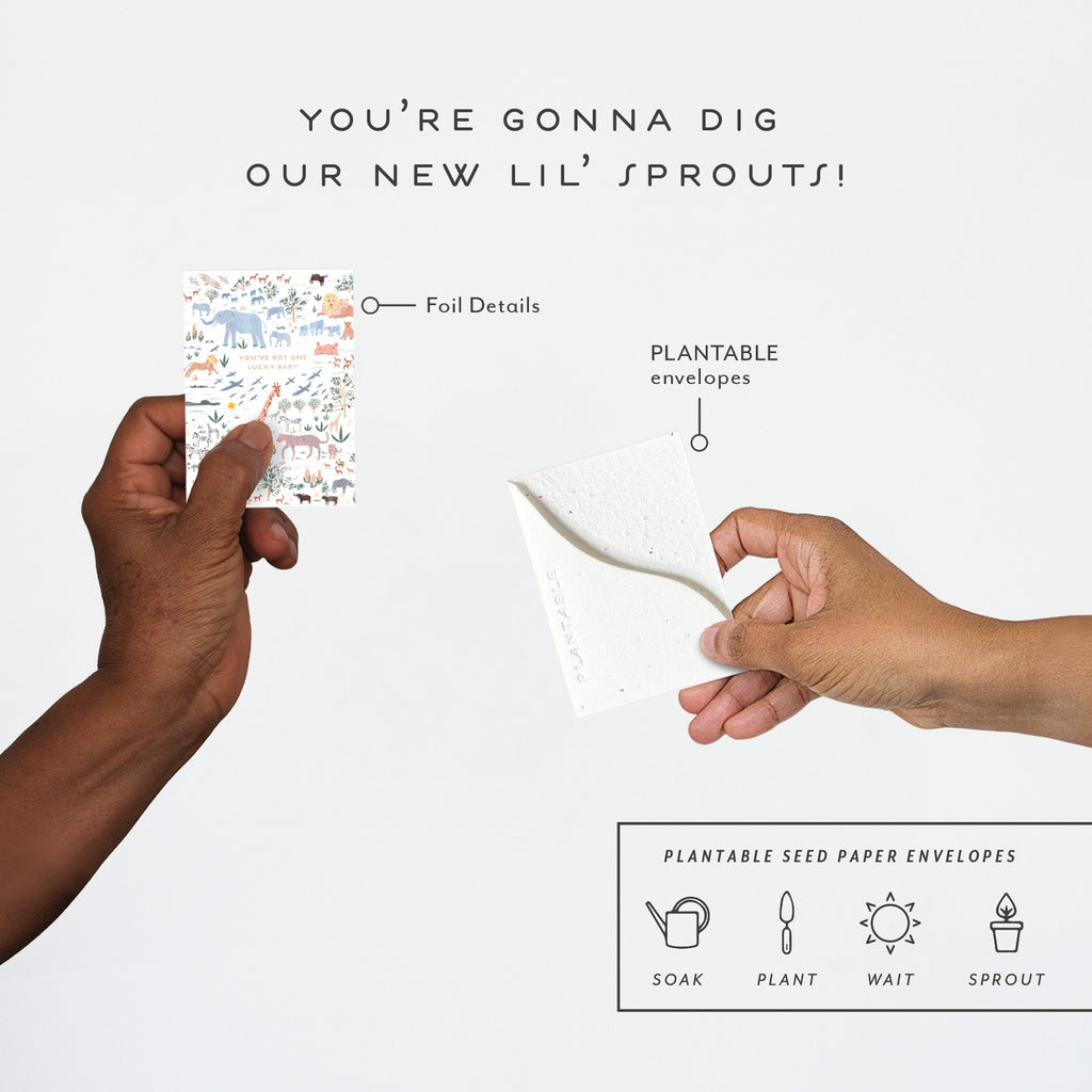 Lucky Baby Sprout - Baby Mini Greeting Card