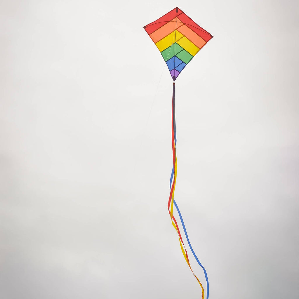 In the Breeze - Rainbow Overlay 30" Diamond Kite