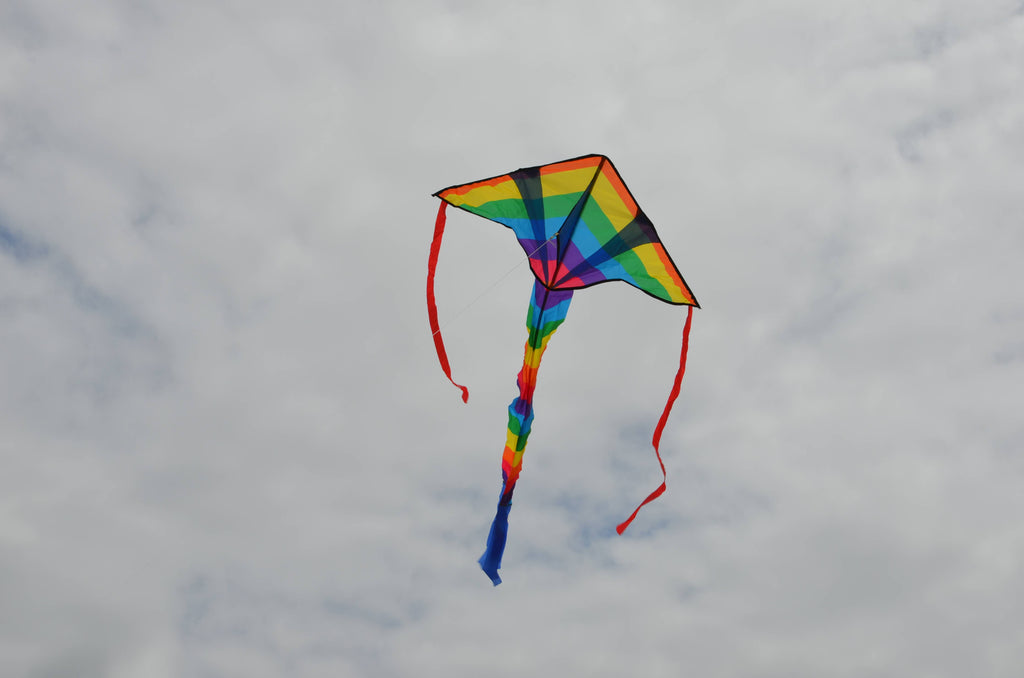 In the Breeze - Rainbow Arrow Fly-Hi Kite