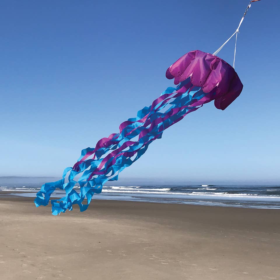 In the Breeze - Jellyfish 3D Windsock