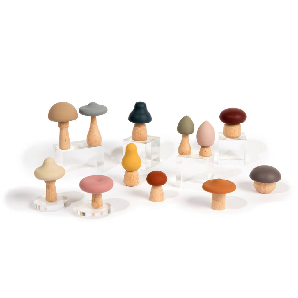 Wood + Silicone Mushroom Sorting Set