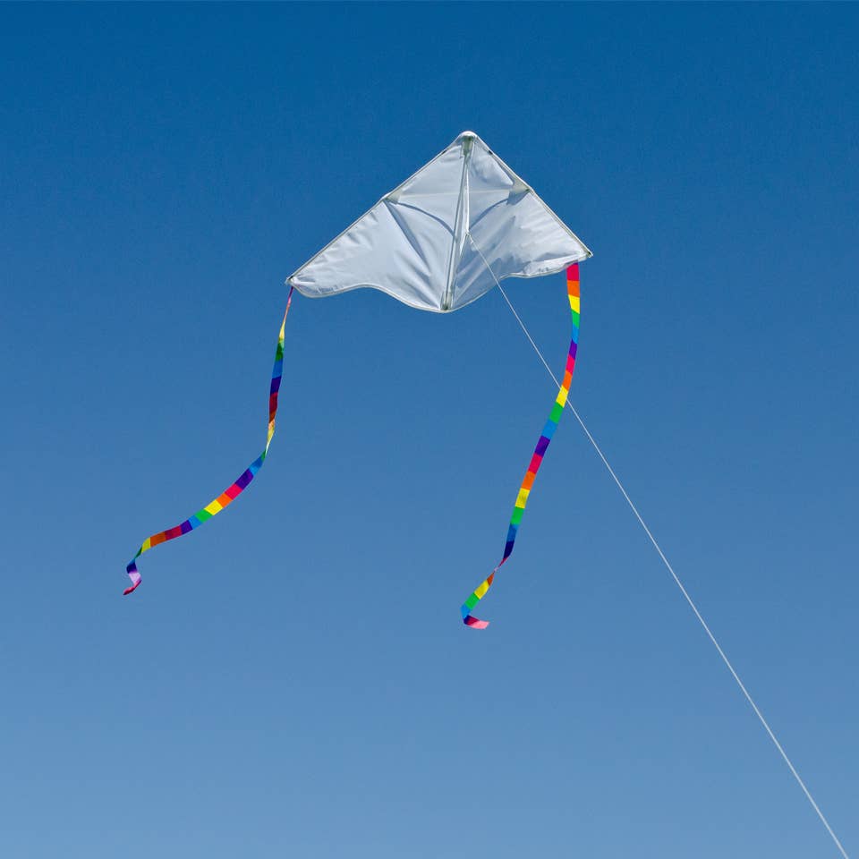 In the Breeze - Delta Coloring Kite
