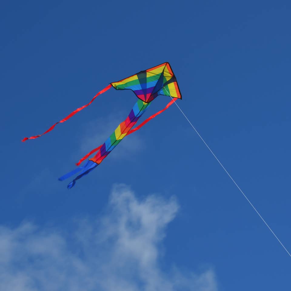 In the Breeze - Rainbow Arrow Fly-Hi Kite