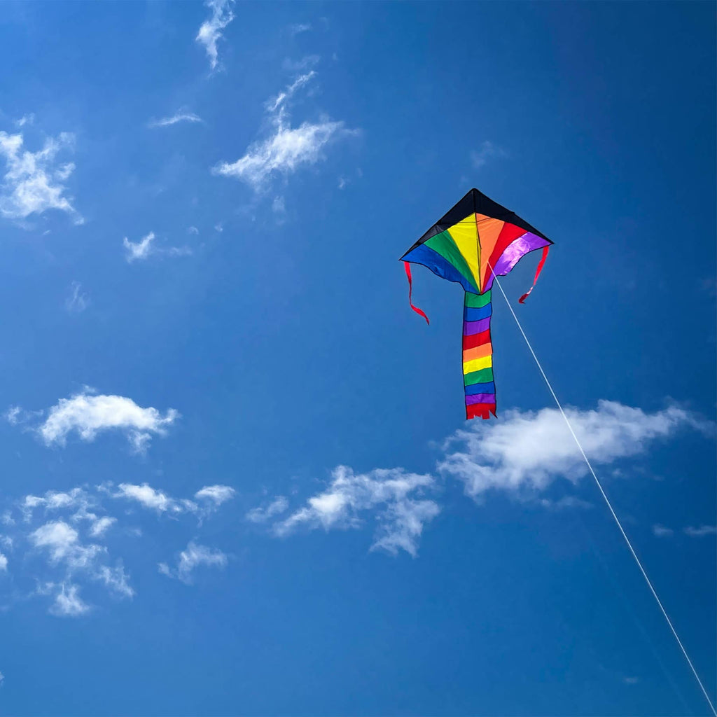 In the Breeze - Mini Rainbow Fly-Hi Kite