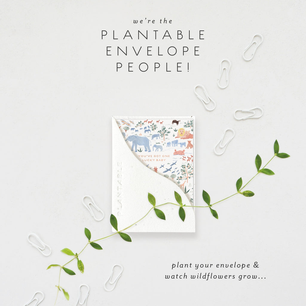 Lucky Baby Sprout - Baby Mini Greeting Card