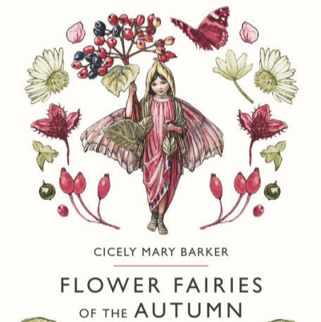 Flower Fairies of the Autumn