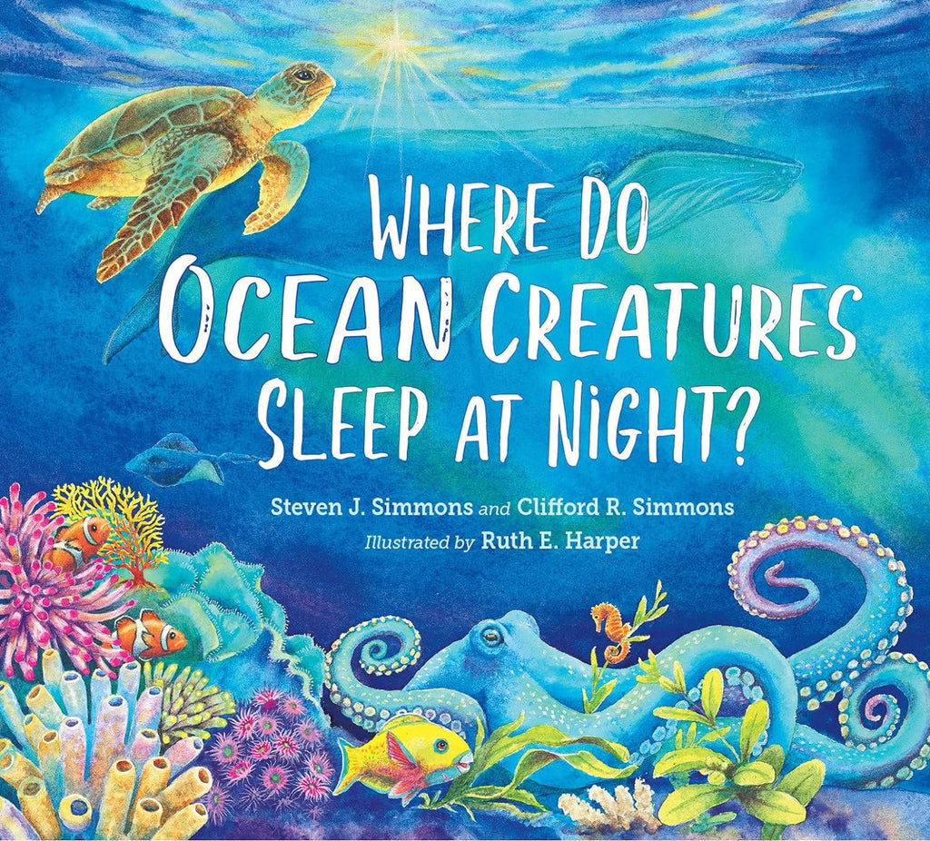 Where Do Ocean Creatures Sleep At Night?