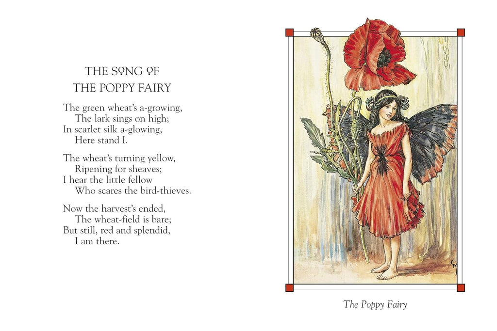 Flower Fairies of the Summer