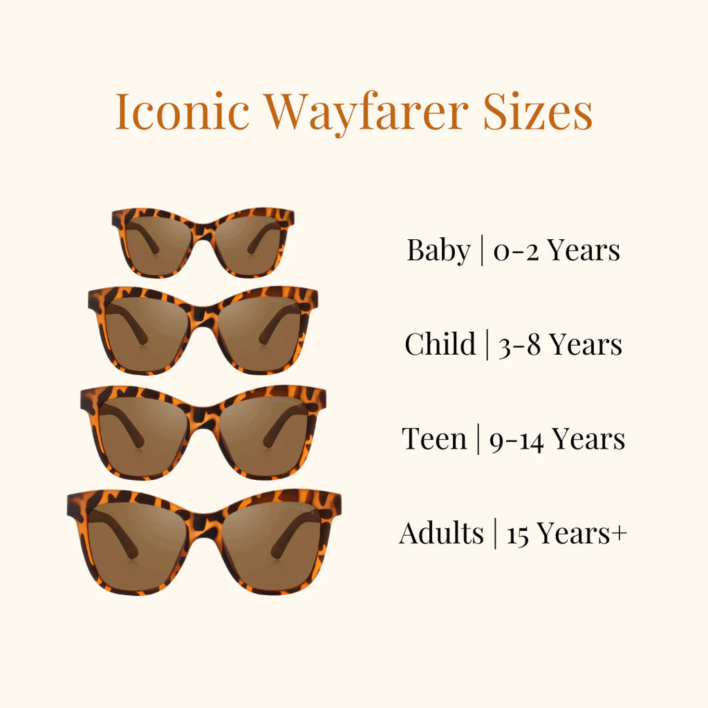 Iconic Wayfarer Sustainable Sunglasses - Tortoise