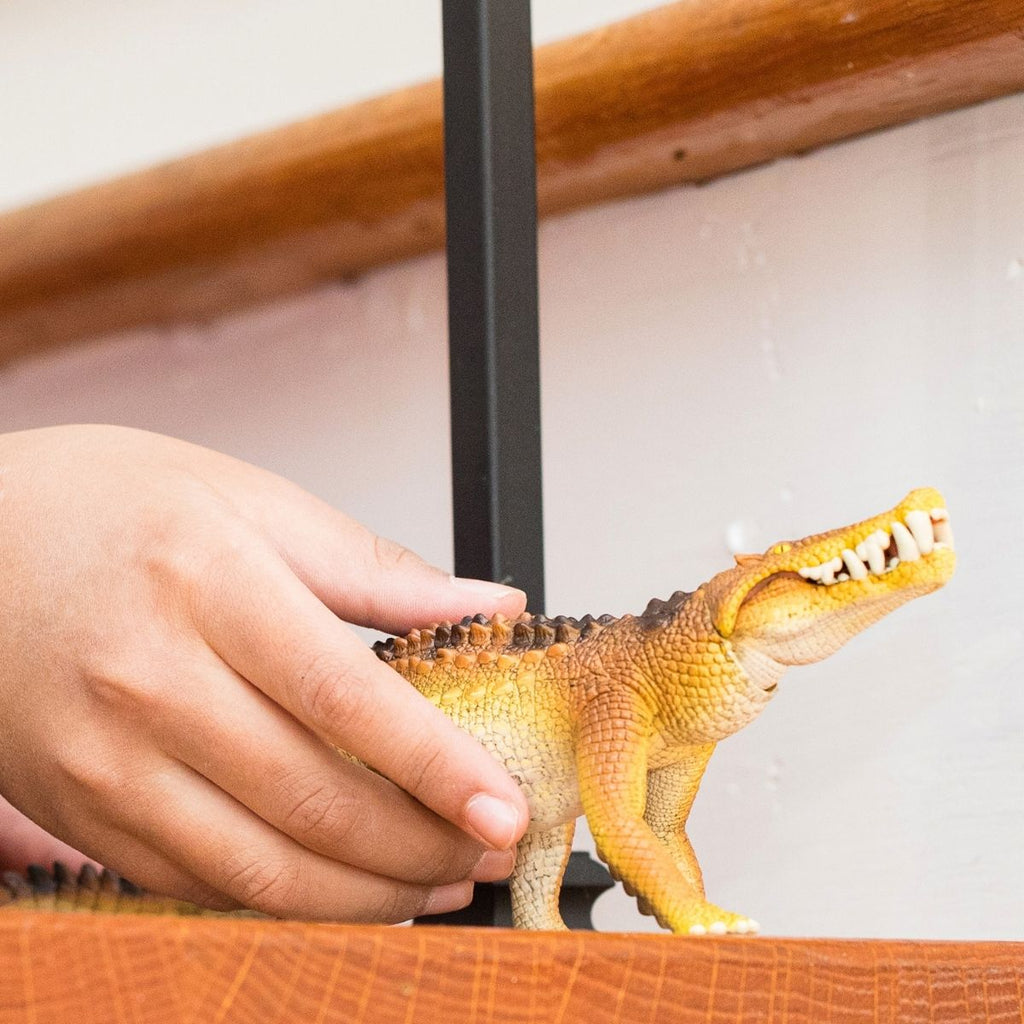 Kaprosuchus Dinosaur