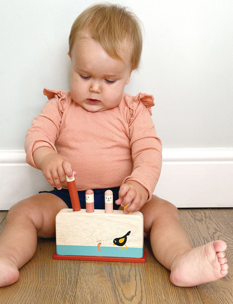 Early Bird Pop Up Manipulative Toy