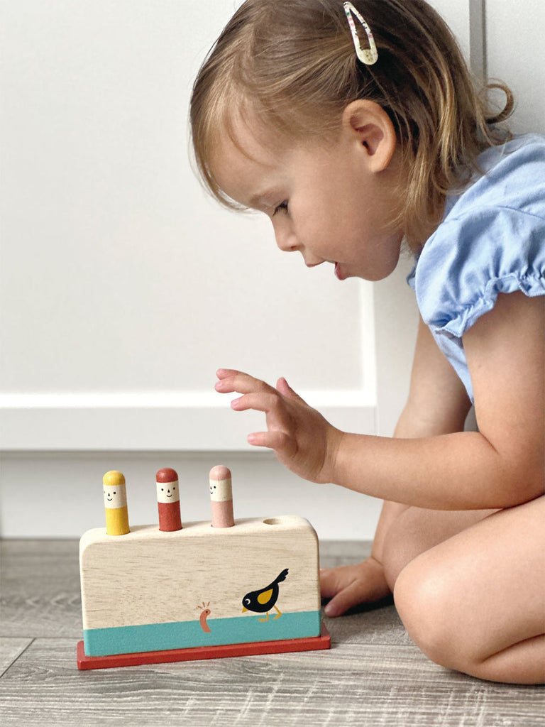 Early Bird Pop Up Manipulative Toy