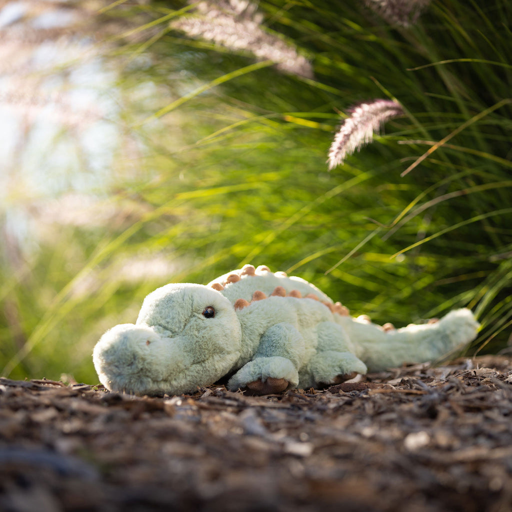 Baby Maximus Alligator