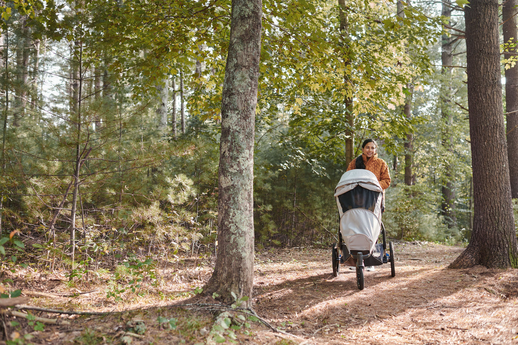 Uppababy Ridge Stroller