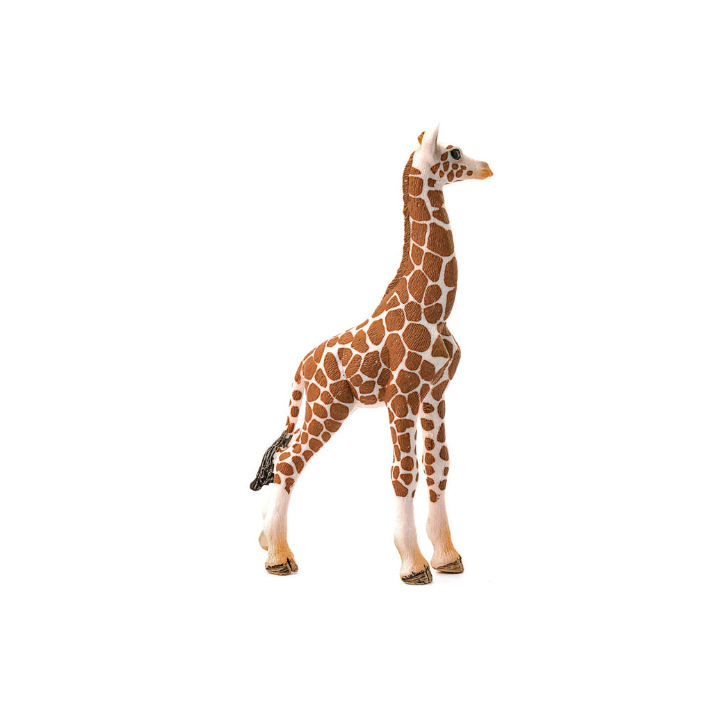 Giraffe Calf Safari Animal Toy