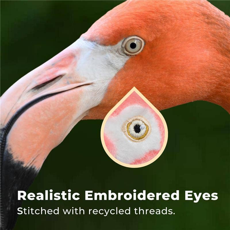 Blue Spotted Stingray 22"