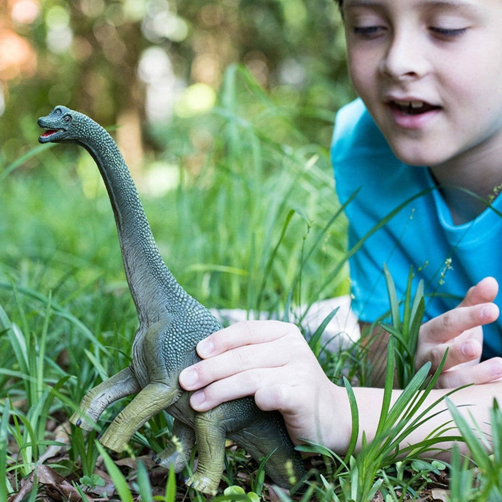 Brachiosaurus Realistic Dinosaur Toy