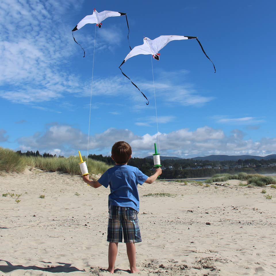 In the Breeze - Seagull Kite
