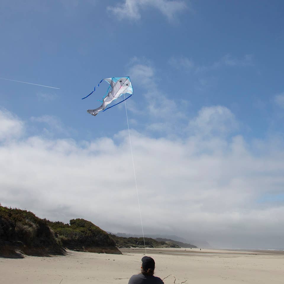 In the Breeze - Dolphin 45" Fly-Hi Kite