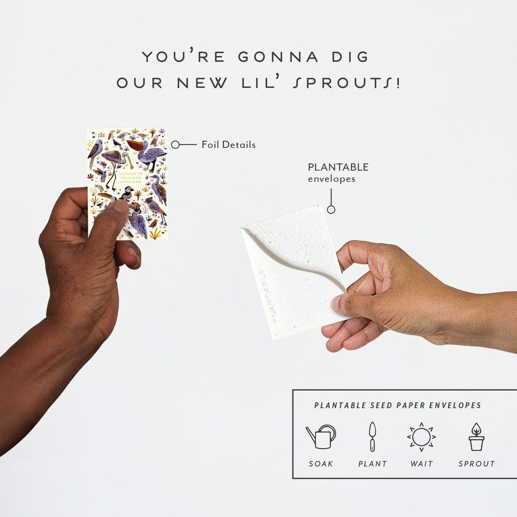 Little Bird Sprout - Baby Mini Greeting Card