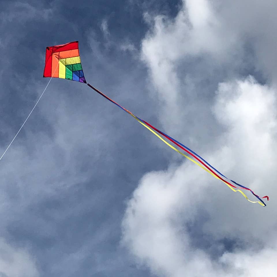 In the Breeze - Rainbow Overlay 30" Diamond Kite