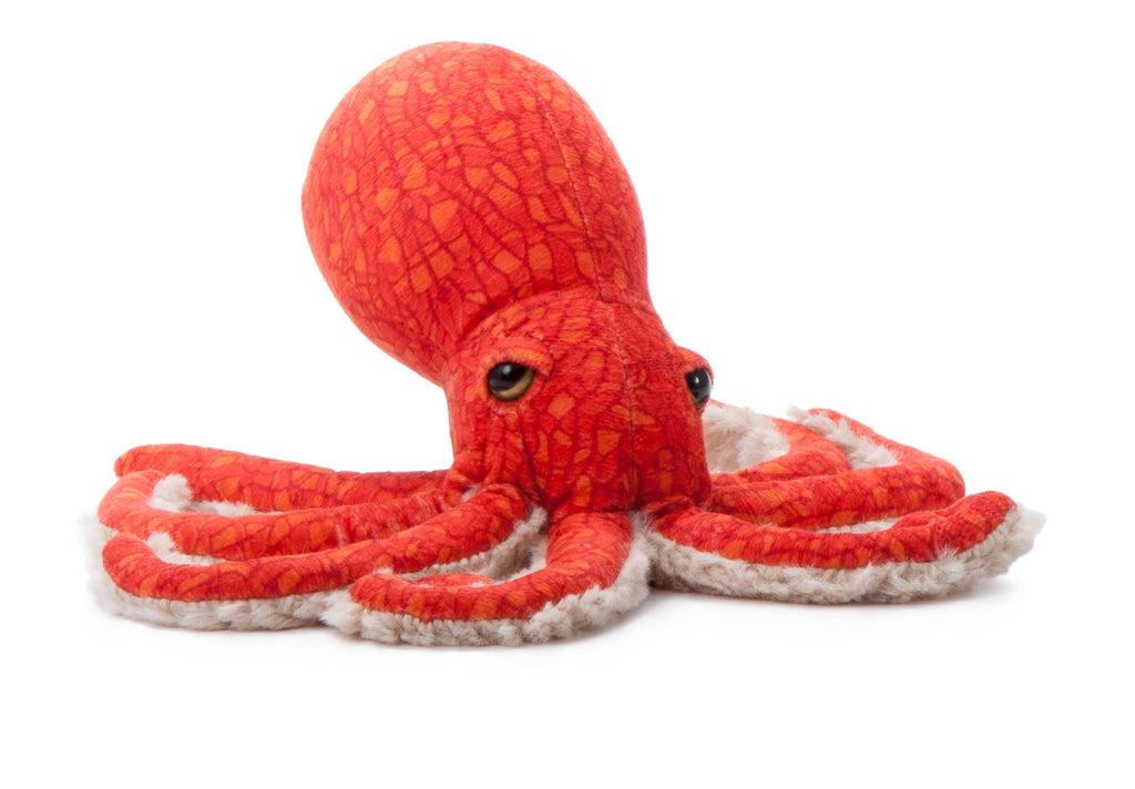 Pacific Red Octopus 8"