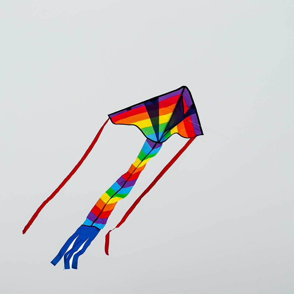 In the Breeze - Rainbow Arrow Fly-Hi Kite