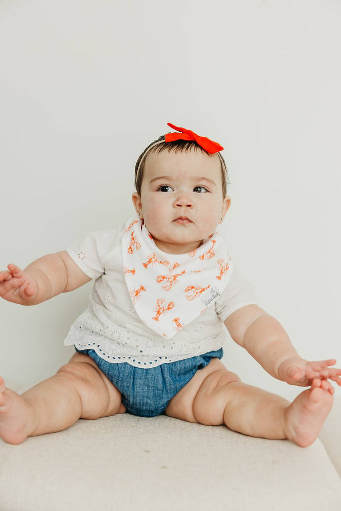 Copper Pearl Baby Bandana Bibs - Fischer