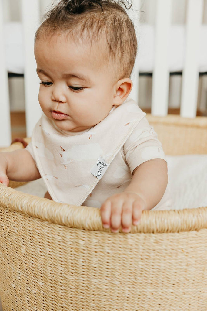 Copper Pearl Baby Bandana Bibs - Fischer
