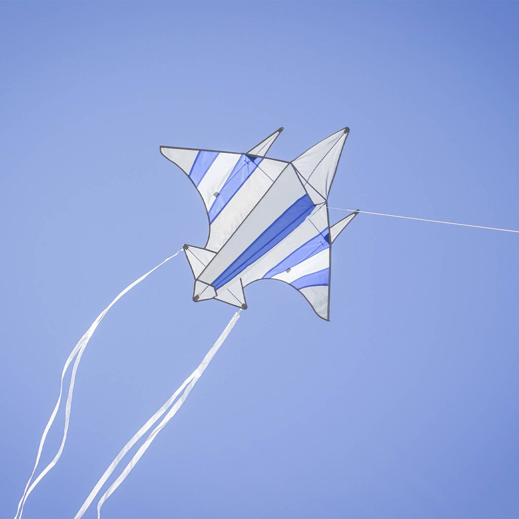 In the Breeze - Fighter Jet Kite
