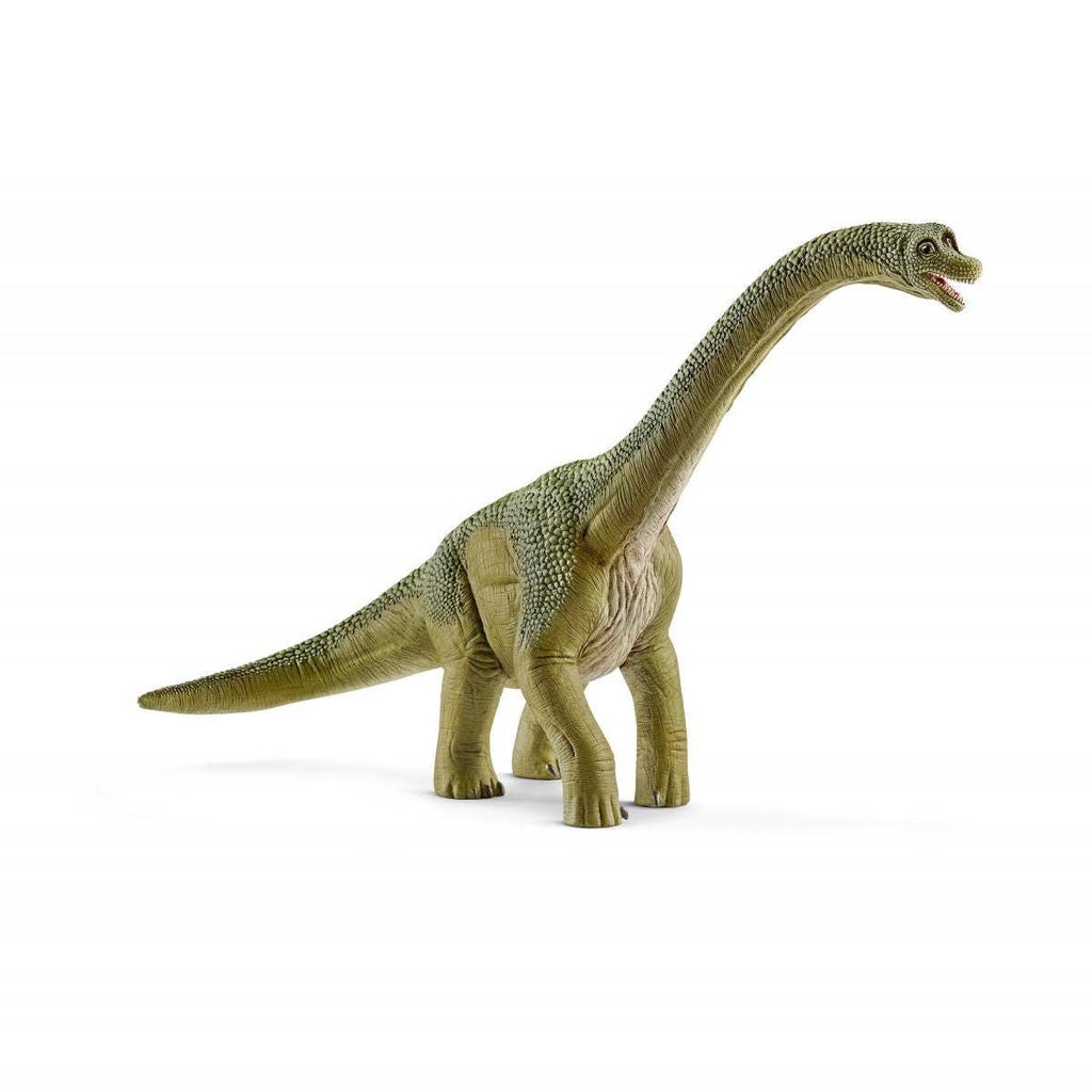 Brachiosaurus Realistic Dinosaur Toy