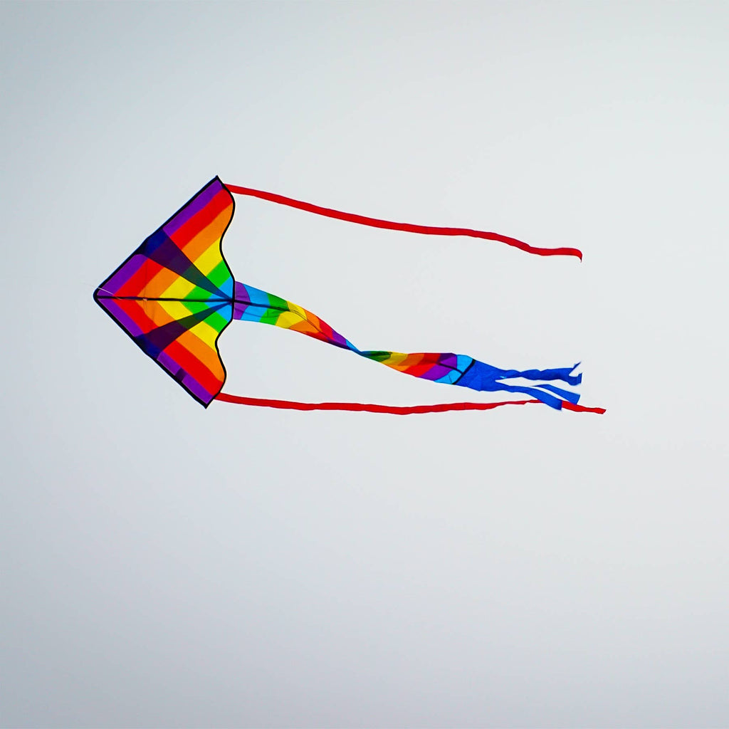 In the Breeze - Rainbow Arrow Fly-Hi Kite
