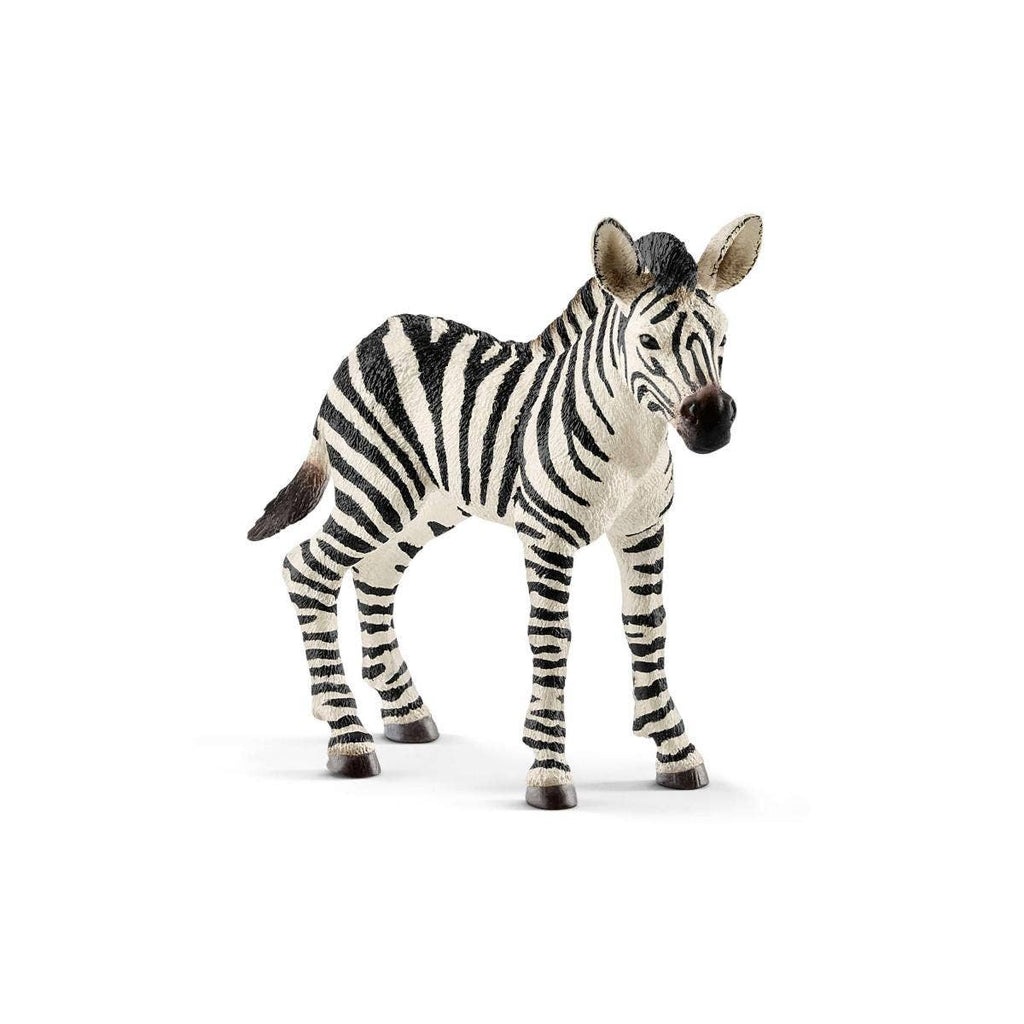 Zebra Foal Safari Animal Toy