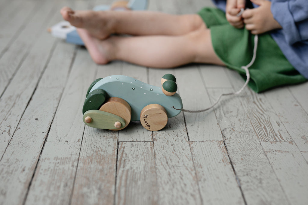 Handcrafted Wooden Pull Toy - Frog