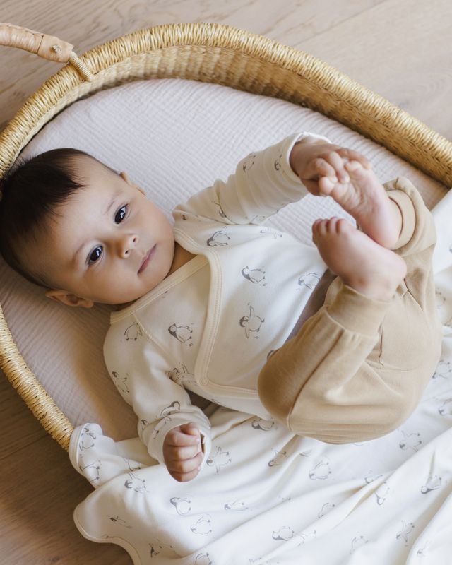 Quincy Mae Side Snap Bodysuit + Pant Suit - Penguins