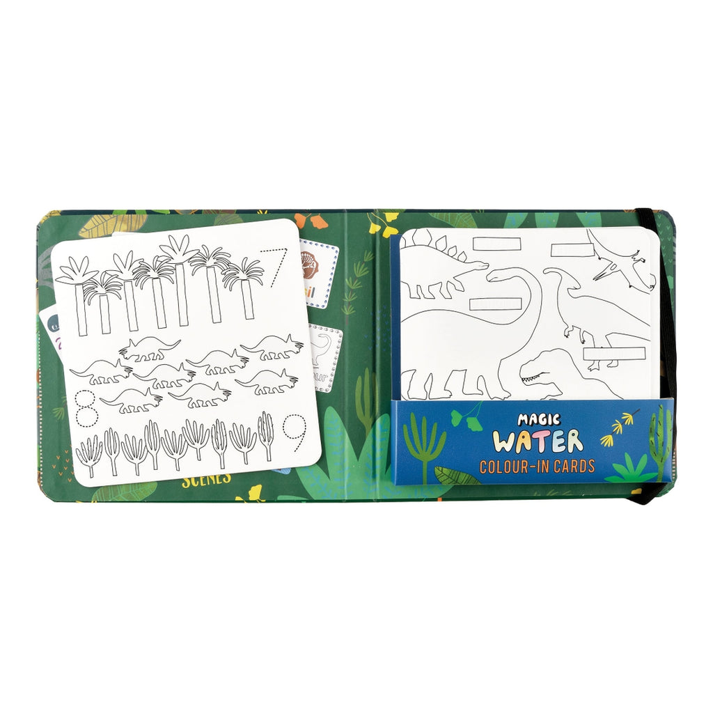 Dinosaur Magic Water Pen & Cards