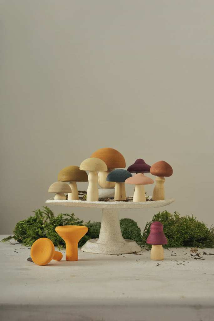 Raduga Grez - Mushrooms