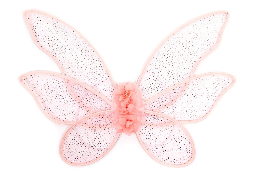 Little Adventures Novelty Wings - Rose Garden Fairy
