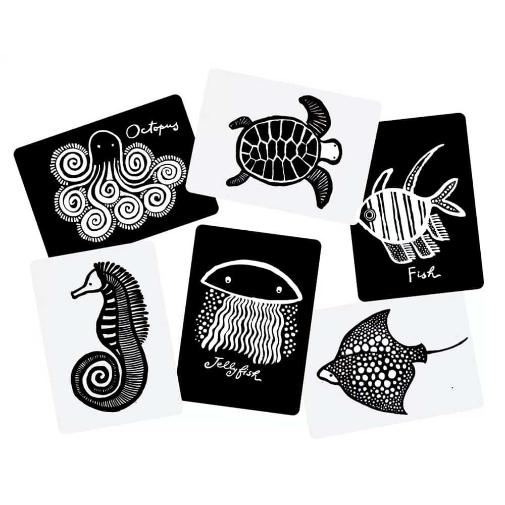 Wee Gallery - Sea Art Cards