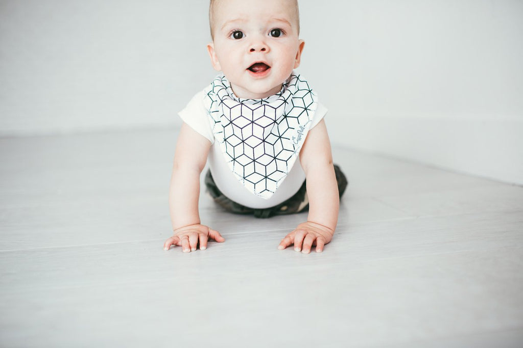 Copper Pearl Baby Bandana Bibs - Wild