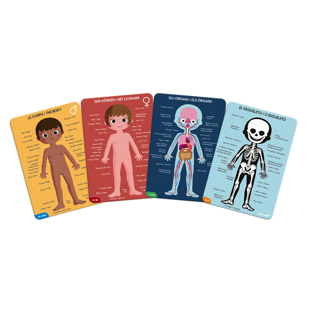 Human Body - Educational 50, 75, 100pc Puzzles