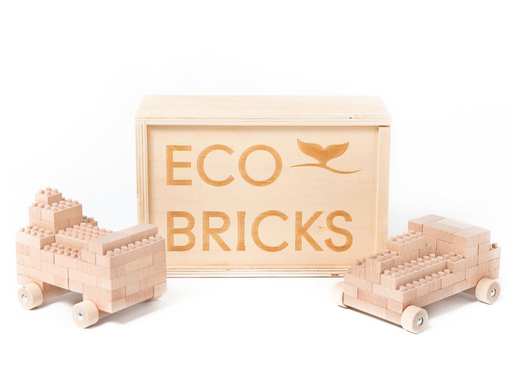 Eco-Bricks 90 pcs