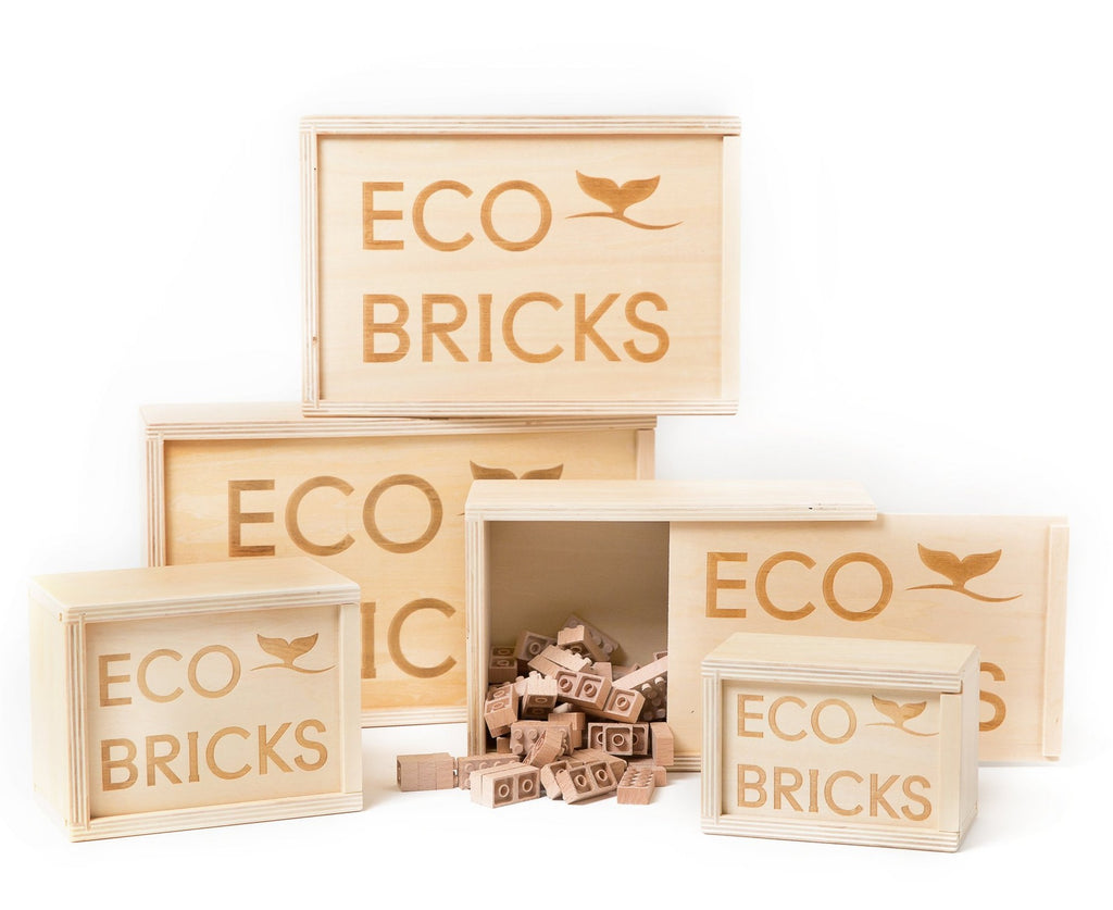 Eco-Bricks 250 pcs